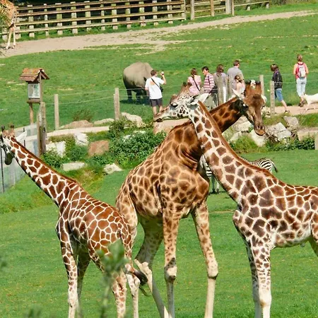 La Maisonnette D'hermival A 2 Min De Lisieux - Jardin - Pkg - Wifi *