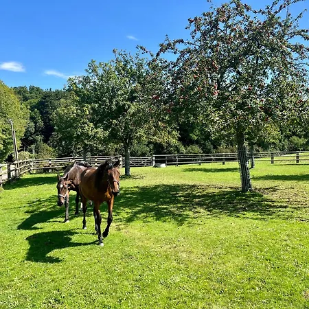 La Maisonnette D'hermival A 2 Min De Lisieux - Jardin - Pkg - Wifi Vakantiehuis *