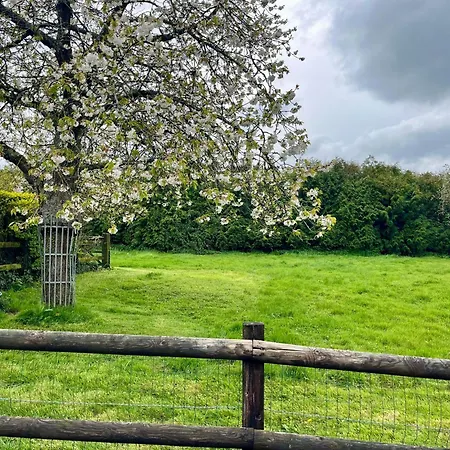 Casa de Férias La Maisonnette D'hermival A 2 Min De Lisieux - Jardin - Pkg - Wifi *