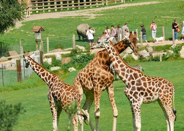 La Maisonnette D'hermival A 2 Min De Lisieux - Jardin - Pkg - Wifi *