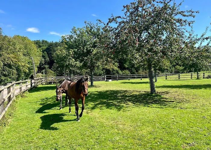 La Maisonnette D'hermival A 2 Min De Lisieux - Jardin - Pkg - Wifi Ferienhaus *