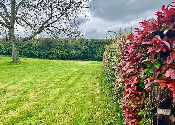 La Maisonnette D'hermival A 2 Min De Lisieux - Jardin - Pkg - Wifi Feriehus *