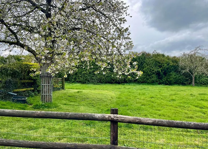 Feriehus La Maisonnette D'hermival A 2 Min De Lisieux - Jardin - Pkg - Wifi *